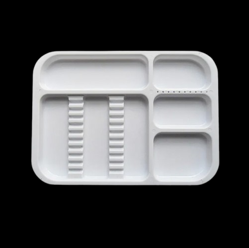 Sterile Disposable Dental Trays